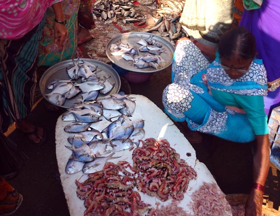 Satpati Fish Market